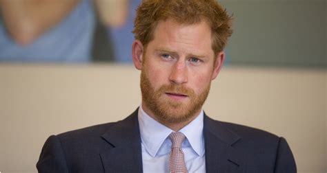 principe gay|Prince Harry addresses sexuality speculation in new book Spare